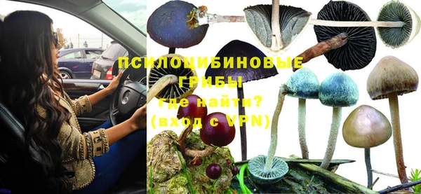 таблы Алзамай