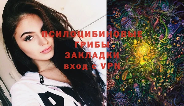 крисы Алексин