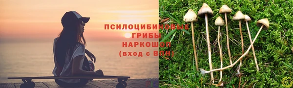 гидропоника Алексеевка
